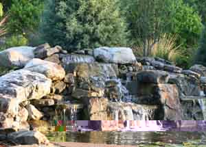 Image of Elmore Mountain Falls Orlando Irrigation, Hardscape and Landscape Project by Landscapes by Land Art Landscape Architecture